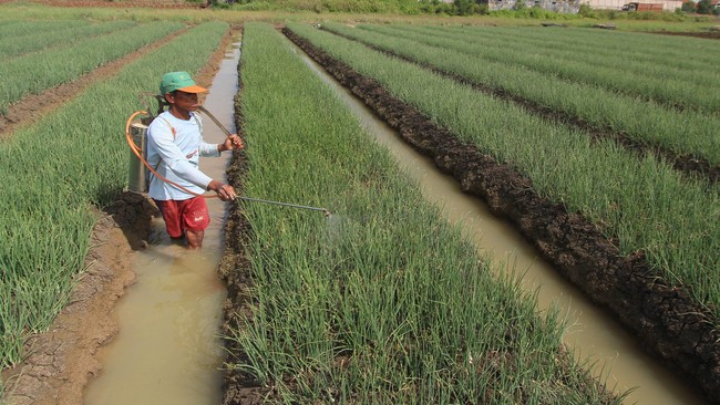 Setelah terjadi deflasi pada Februari, inflasi melanda pada Maret 2015. Penyebabnya antara lain kenaikan harga BBM dan bawang merah.