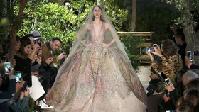 Gaun Seksi Transparan Kaya Detail dari Elie Saab