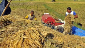 Arrahmah di Antara Keterpurukan Petani dan Harapan Jokowi