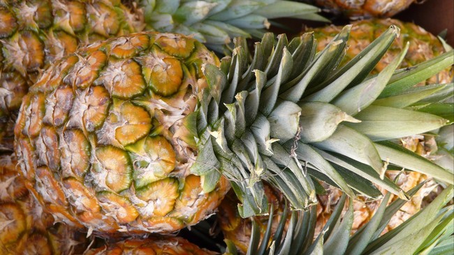 Mantan Pj Gubernur Sulsel diperiksa Kejati sebagai saksi kasus dugaan korupsi pengadaan bibit nanas Rp60 miliar. Penyidikan masih berlanjut.