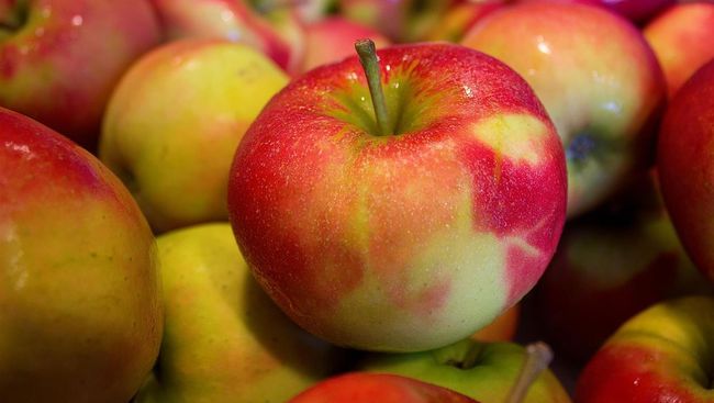 Manfaat Apel: Turunkan Berat Badan hingga Mencegah Asma Apel yang juga dikenal dengan nama Malus domestica ini merupakan buah yang sangat kaya akan serat, antioksidan dan vitamin C yang bermanfaat bagi tubuh.