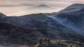 Banjarnegara Targetkan 150 Ribu Orang ke Dieng saat Lebaran