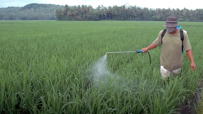 Sebuah studi terbaru menyebutkan residu pestisida pada hasil pertanian sebabkan penurunan fungsi paru-paru, terutama pada anak-anak.