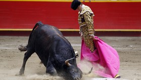 Matador-Matador Penakluk Banteng
