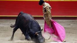 Matador-Matador Penakluk Banteng