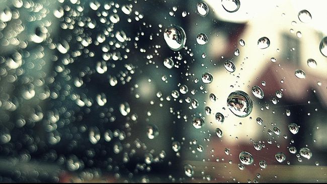 Pluviophobia adalah sebuah ketakutan terhadap hujan yang bisa menyebabkan munculkan cemas atau panik.