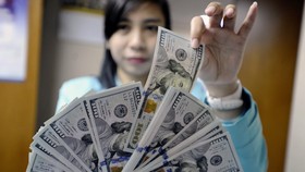 Rupiah Perkasa ke Rp14.795 Jelang Rilis Suku Bunga Acuan BI