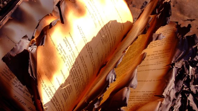PDDI LIPI mengatakan proses pemusnahan koleksi yang sudah rusak parah di perpustakaan sering disalahartikan sebagai penghapusan koleksi disertasi dan tesis.