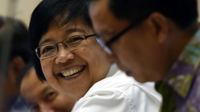 Indonesia pasar baru merkuri ilegal karena banyak negara sudah melarang penggunaannya. Selain itu, Indonesua juga banyak penambangan emas.