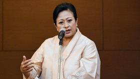 Sri Adiningsih, Eks Watimpres Jokowi Jadi Komisaris Indosat