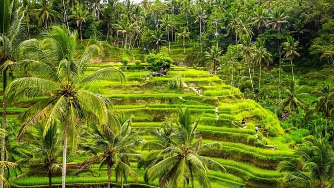 Yang paling utama backpacker akan mencari negara murah agar dapat menikmati pemandangan indah tanpa harus mengeluarkan banyak biaya.