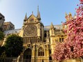 Notre Dame, Permata Peradaban yang Dilalap Kebakaran