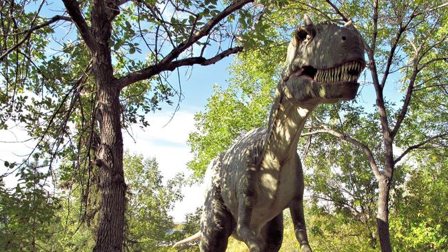Tak sedikit anak yang terobsesi pada dinosaurus. Studi menemukan, kesukaan anak pada dinosaurus menjadi salah satu penanda kecerdasan yang di atas rata-rata.