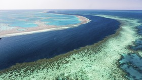 Pemerintah Sulap Kawasan Konservasi jadi Great Barrier Reef
