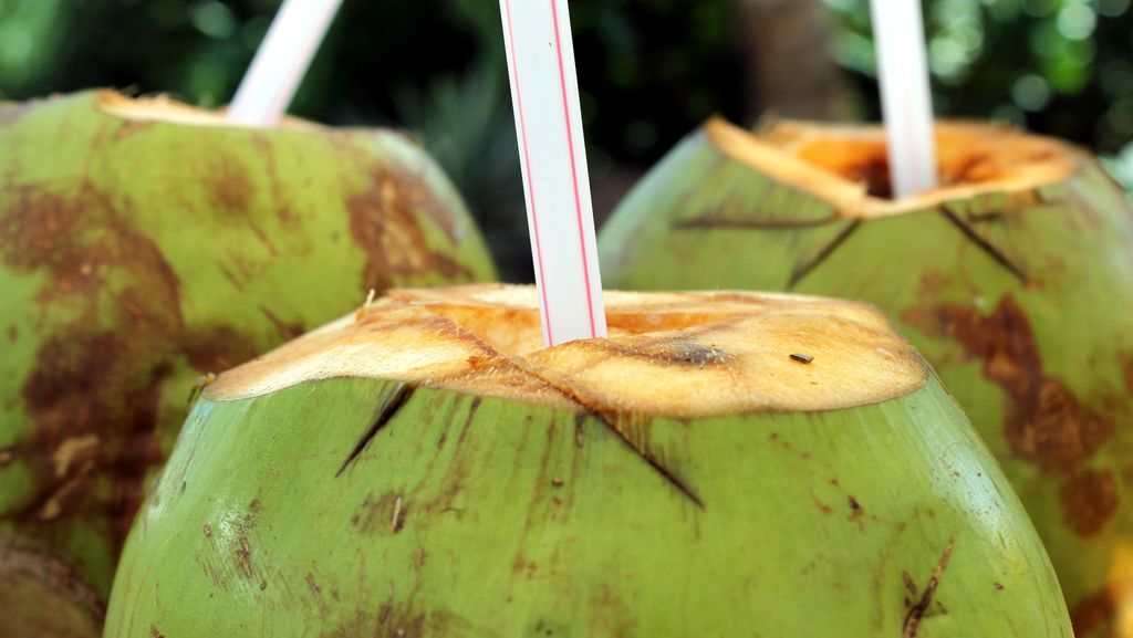 Minum Air Kelapa Muda Bisa 'Bersihkan' Ginjal, Memangnya Benar?