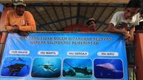Susi: Penangkap Pari Manta Diancam Delapan Tahun Penjara