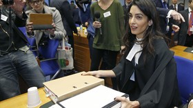 Istri George Clooney Terlibat Pembebasan Jurnalis di Mesir