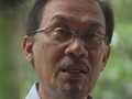 Anwar Klaim Paparkan Dukungan Parlemen ke Raja, Istana Bantah
