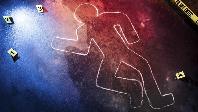 Seorang komandan polisi Perancis ditikam sampai tewas di depan rumahnya pada Senin malam, ISIS mengklaim bertanggung jawab.