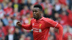 Sturridge Mulai Berlatih Penuh Bersama Liverpool