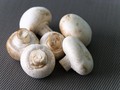 3 Manfaat Jamur Putih untuk Kesehatan