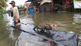 Awan Tebal di Utara Jakarta, Hujan akan Turun Rata di Ibukota
