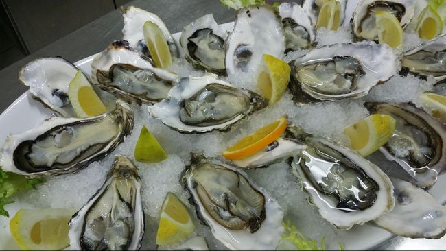 Bakteri Laut Langka Ancam Kehidupan Pemakan Kerang-kerangan Kementerian Kesehatan Florida, Amerika Serikat, menyatakan bahwa bakteri langka yang ditemukan di dalam air laut telah menewaskan dua orang.
