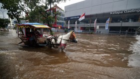 Drainase Sudah Tua, Jakarta Ibarat Manusia Stroke