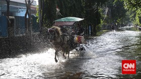 Wagub Djarot Terima Sumbangan 50 Bibit Pohon dari Warga Tebet
