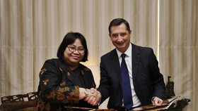 Kembangkan Energi Alternatif, Pertamina Gandeng Akuo Energy
