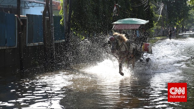 Melalui sumbangan ini, warga berharap Pemprov DKI dapat menanam pohon di bantaran Ciliwung untuk hindari banjir di masa mendatang.