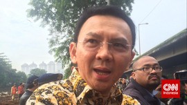 Ahok Akan Beli Gergaji Mesin untuk Atasi Pohon Tumbang