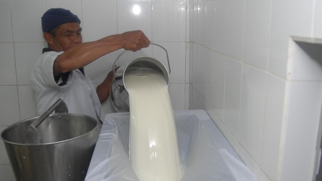 Beberapa waktu lalu sebagian kota di AS mengalami 'hujan susu'. Para ahli ahli sempat dibuat bingung, tapi mereka sudah menemukan jawabannya.