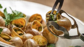 Gastronomi Perancis Ikut Cegah Kepunahan Hewan
