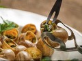 Gastronomi Perancis Ikut Cegah Kepunahan Hewan