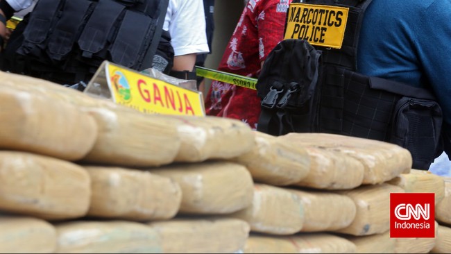 Untuk mengelabui petugas, ganja-ganja tersebut disimpan di lantai bak truk dan kemudian ditumpuk dengan sejumlah kayu.