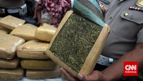 8 Gram Ganja dan 1 Linting Bekas Pakai Disita dari Gitaris Geisha