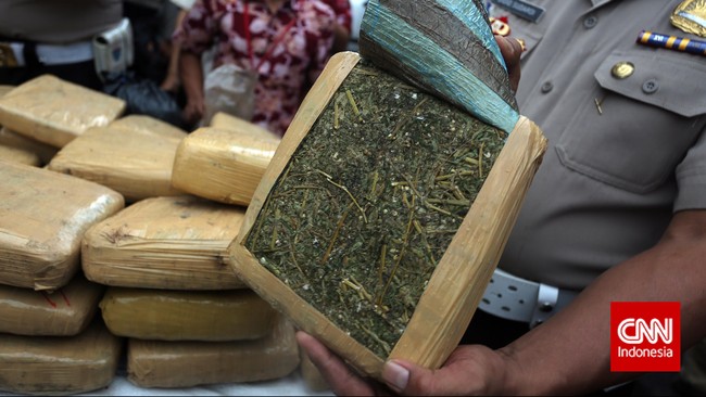 Pelaku menyamarkan paket ganja dan sabu dalam paket buku lembar kerja siswa (LKS). Polisi mengamankan 160 kg ganja dan 9,81 gram sabu.