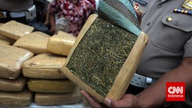 Polisi Bongkar Penyelundupan Ganja 65 kg Bermodus Paket