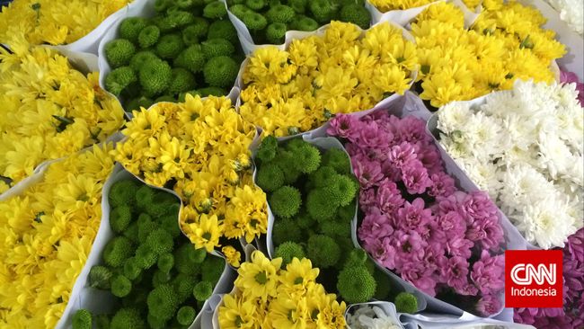 Berbagai jenis bunga cantik dengan beragam warna akan memanjakan mata Anda kala menjejakkan kaki di Pasar Bunga Rawa Belong.