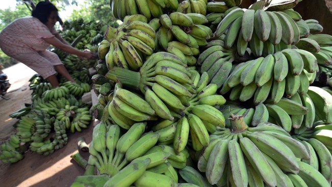 Kesepakatan IJEPA telah diteken sejak 2008 lalu, namun baru pisang, produk pertanian Indonesia yang bisa diterima pasar Jepang.