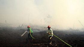 KPK Siap Usut Penghentian Penyidikan Pembakar Hutan Riau