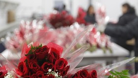 Cara Menjaga Bunga Tetap Segar Usai Valentine