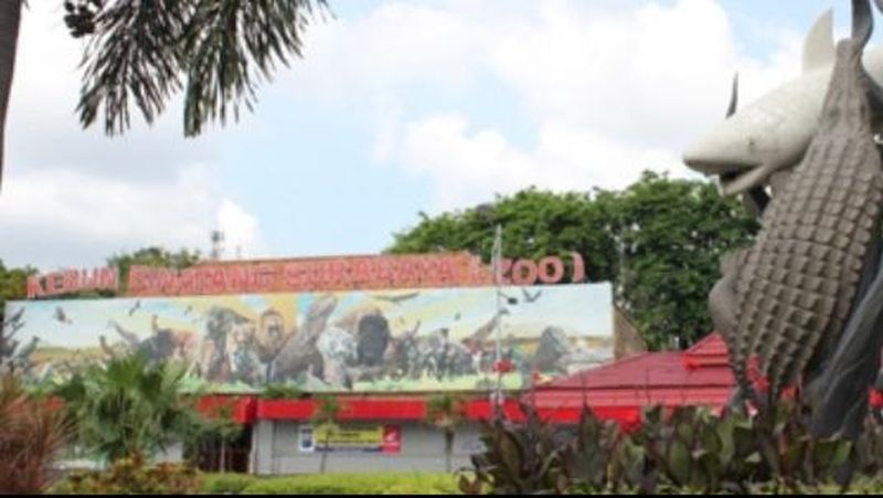 Berkunjung ke kota Surabaya rasanya tidak cukup hanya sehari. Anda harus menginap setidaknya dua malam untuk menikmati kota pahlawan itu.