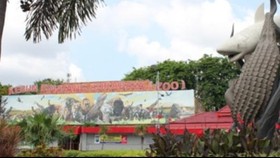 Tiga Hotel Murah Terbaik di Surabaya