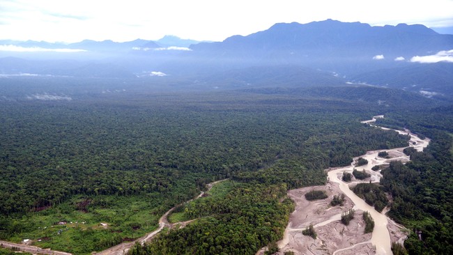 Dua nakes sempat hilang saat penyerangan Kelompok Kriminal Bersenjata (KKB) di Papua. Mereka ditemukan di jurang pada Rabu (15/9). Satu hidup, satu meninggal.