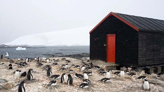 Pak pos harus rela tinggal di cuaca beku namun tetap tersenyum dalam lima bulan ke depan. Ancaman terbesarnya mungkin hanyalah ribuan penguin yang bau.