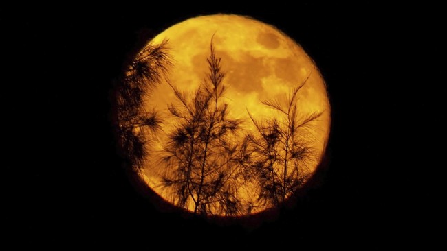 Indonesia dipastikan tak akan bisa menyaksikan fenomena langka gerhana bulan Supermoon.