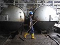 Daftar Pemain Industri Biodiesel Tambah Panjang