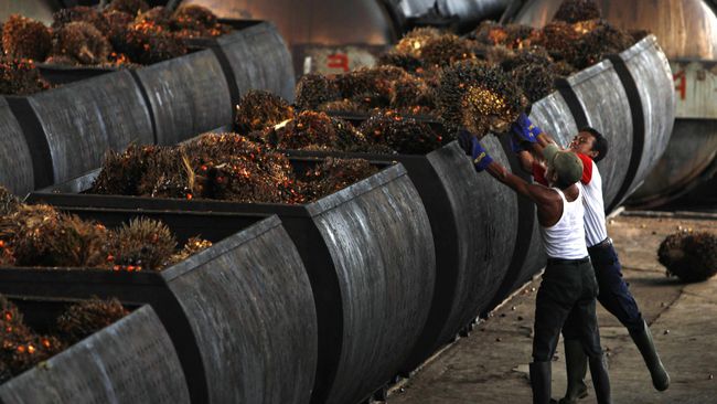 AS Bakal Beri Bea Antidumping Biodiesel dari Indonesia